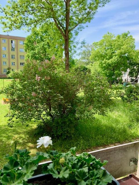 Apartman Snyt Primka Alamóc Kültér fotó