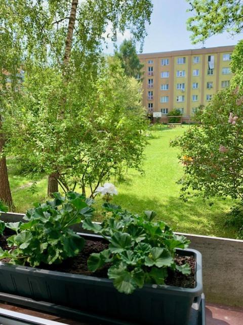 Apartman Snyt Primka Alamóc Kültér fotó